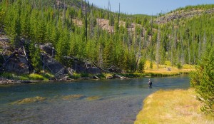 Flyfishing on the Firehole River, Yellowstone National Park