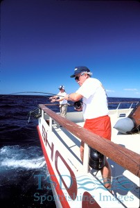 Picture of fly angler Trey Combs hooked to a blue water fish aboard the Shogun.
